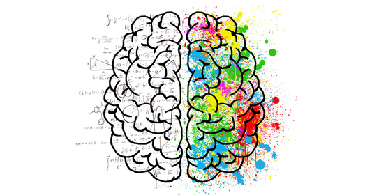 The Best Herbs for Focus and Mental Clarity: Boost Your Brain Naturally