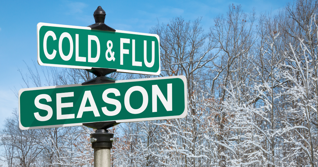 Winter Wellness: Herbal Remedies to Boost Your Immunity and Beat the Cold & Flu