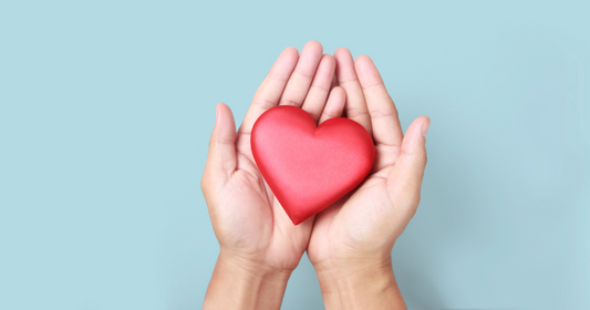 Herbs to Help Lower Blood Pressure Naturally (and Why Diet Matters Just as Much)