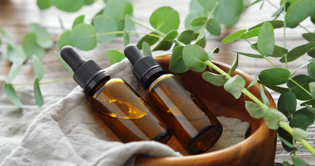 Microdosing Herbs: A Gentle Approach to Healing That Actually Works