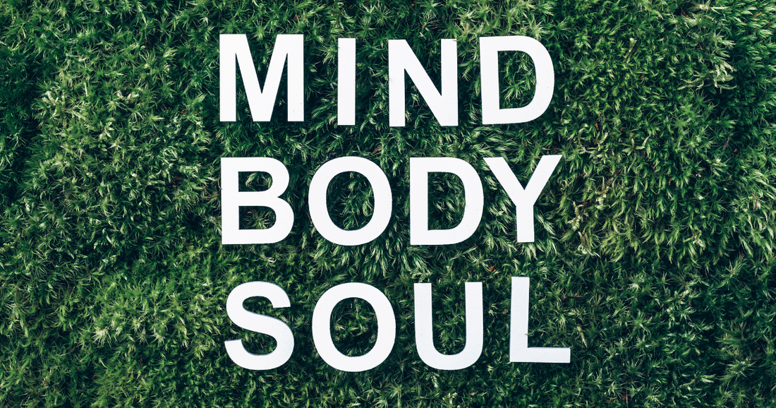 Understanding How the Body Works: A Holistic View