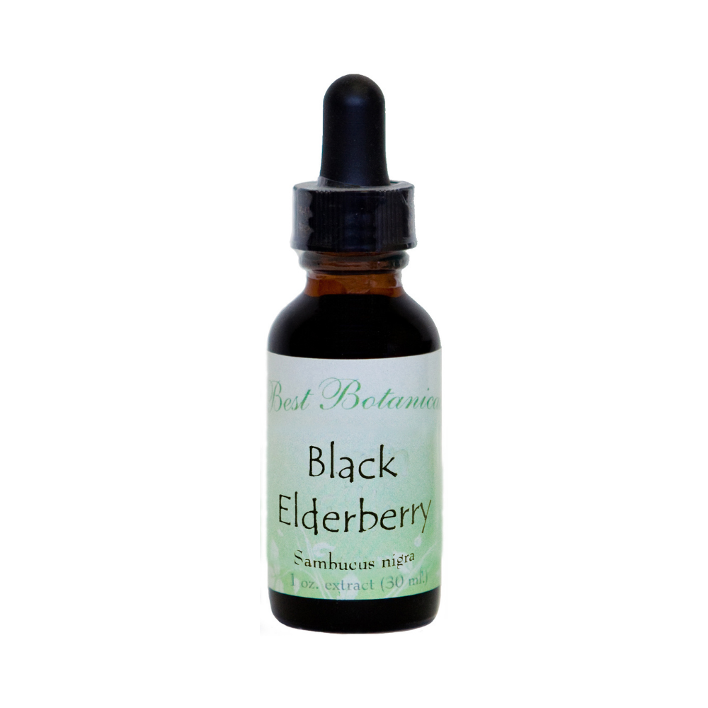Black Elderberry Extract