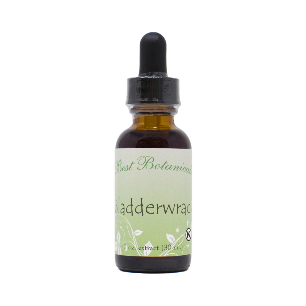 Bladderwrack Extract