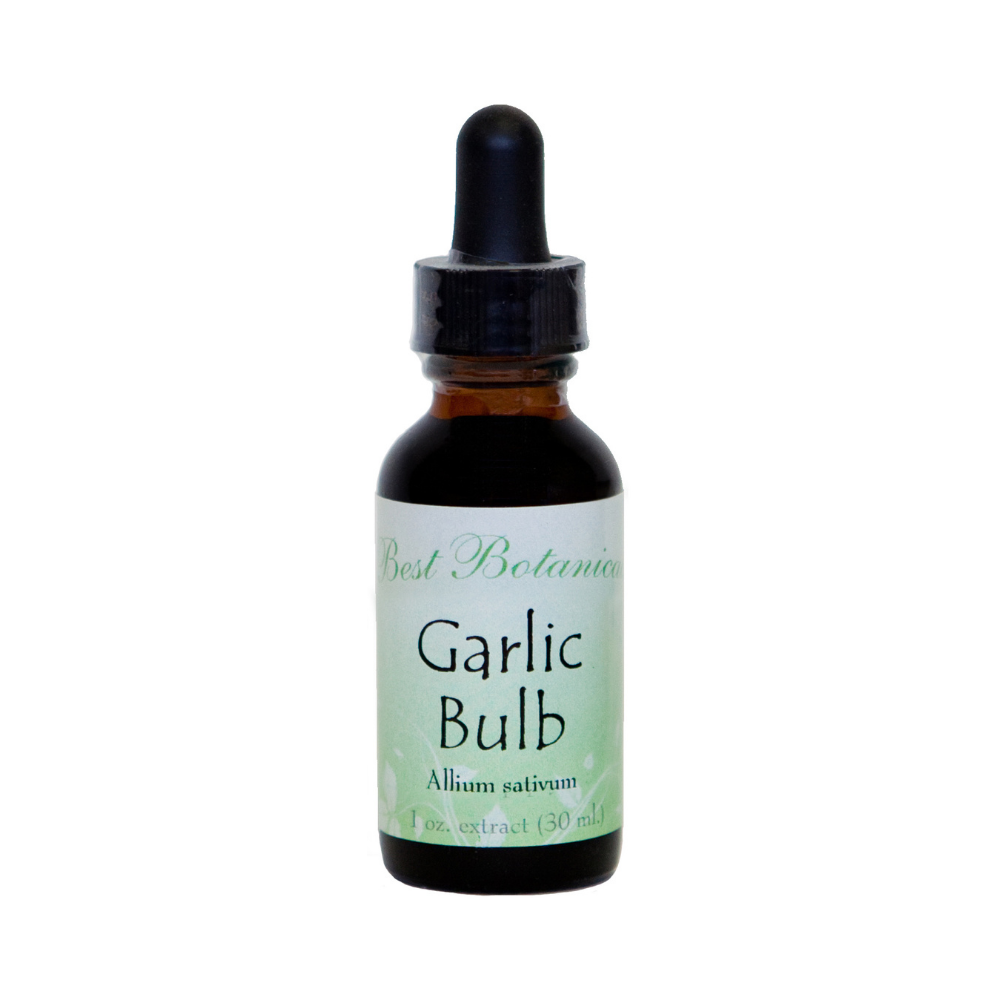 Garlic Bulb Extract