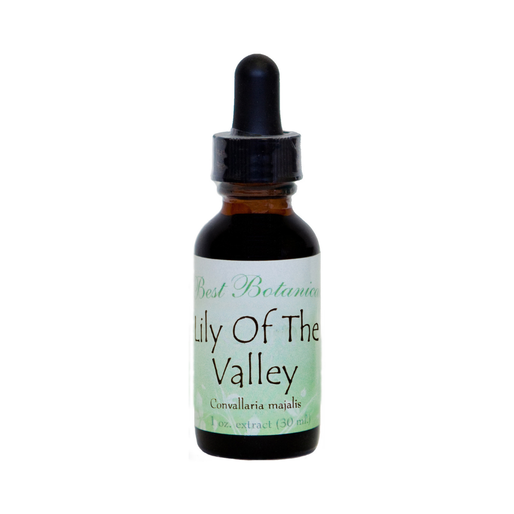 Lily of the Valley Extract