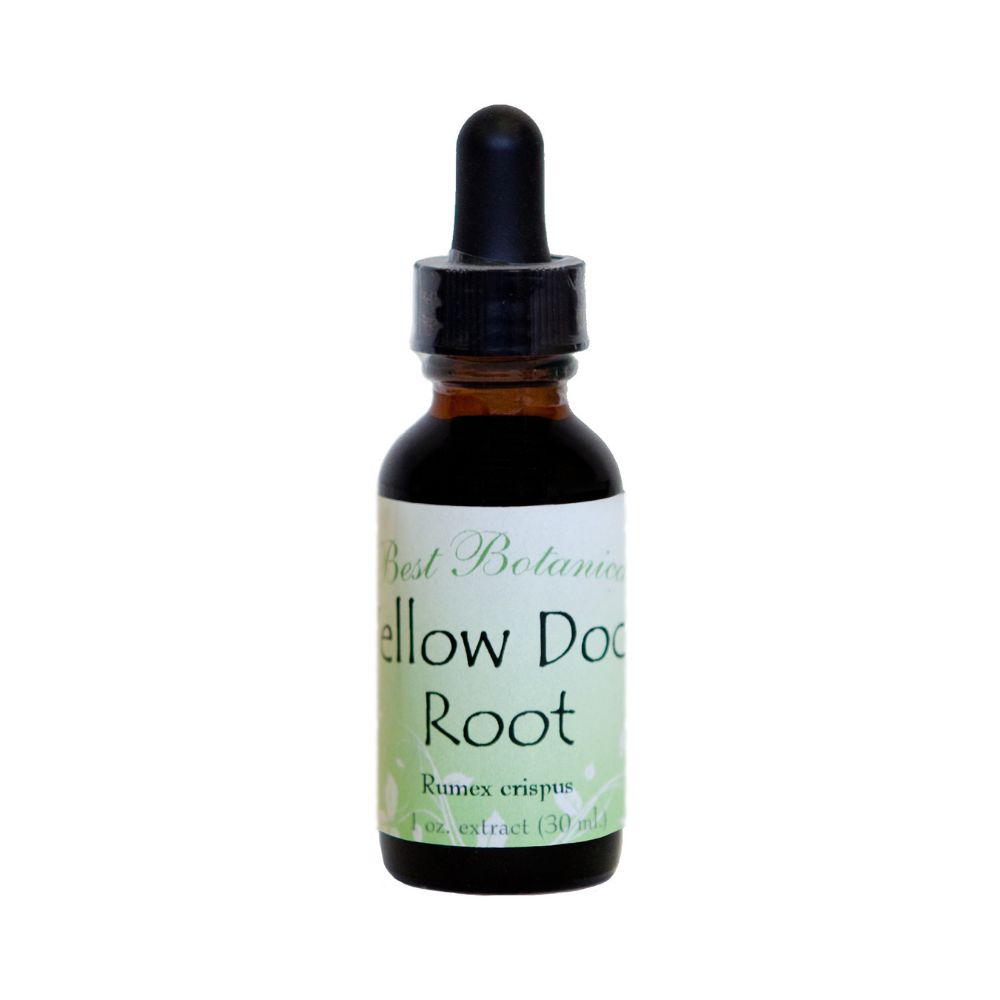 Yellow Dock Root Extract