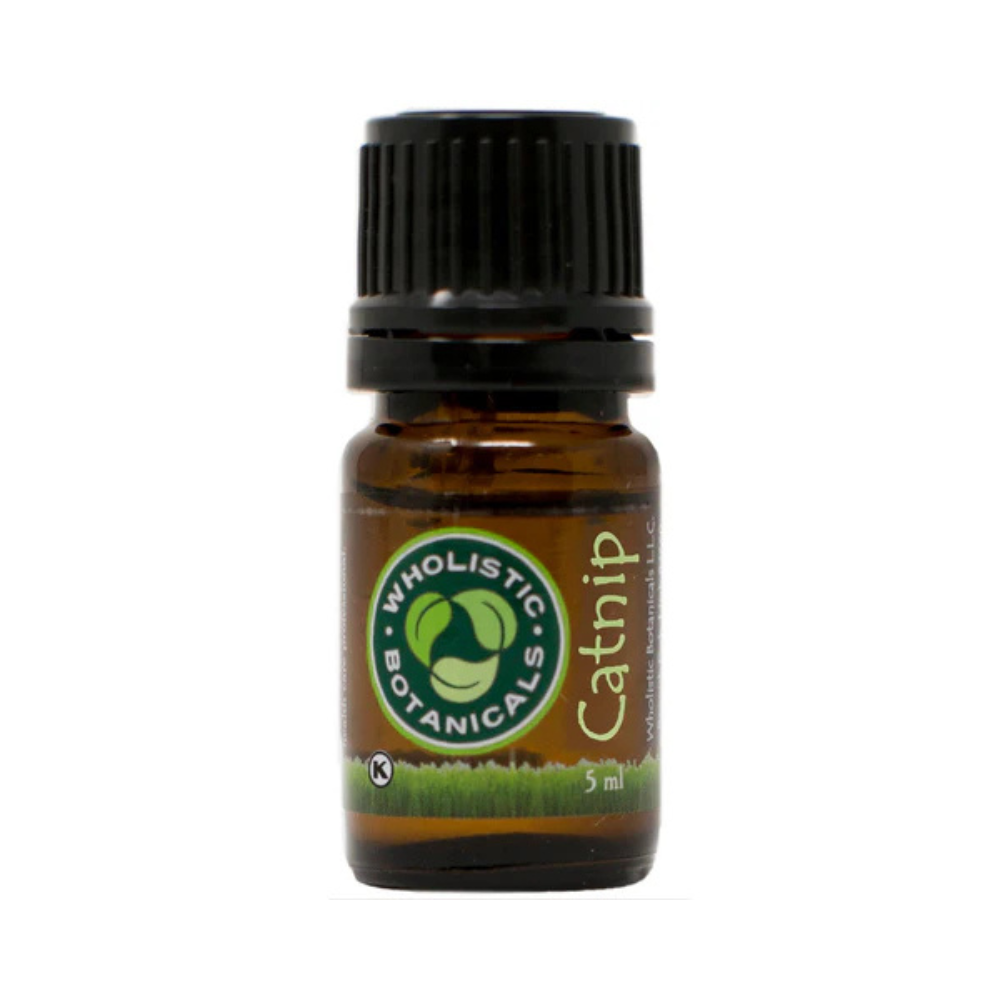 Catnip Essential Oil