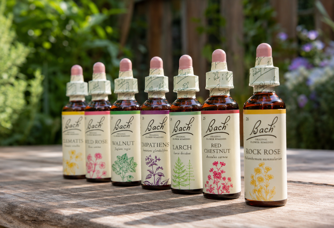 Bach Flower Remedies: Emotional Healing Through the Energy of Flowers