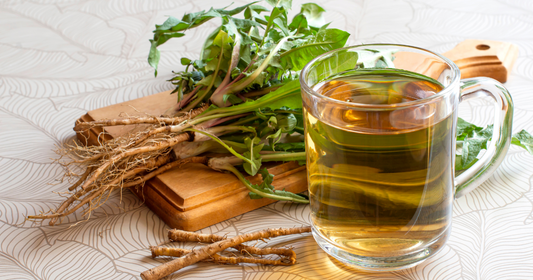 Why Your Body’s Begging for Bitters: The Unsung Heroes of Herbal Healing