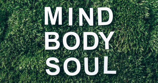 Understanding How the Body Works: A Holistic View