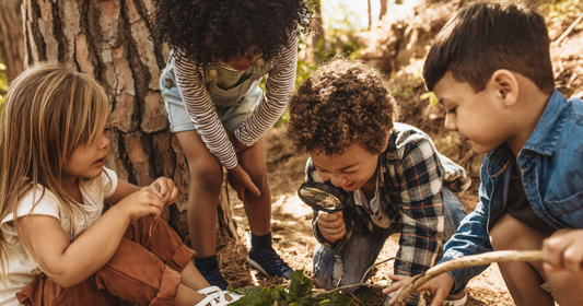 What Is Nature-Based Learning? How to Start a Nature-Rich Homeschool