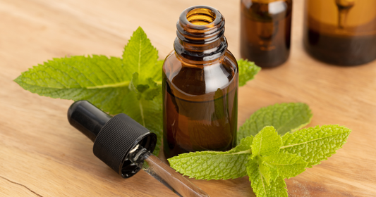 Peppermint Essential Oil & Cancer Cells: What a 2025 Study Really Showed