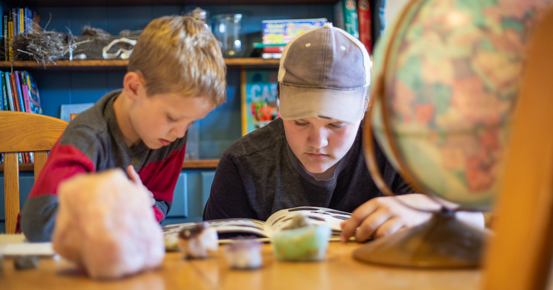 Socialization Myths in Homeschooling (How Kids Actually Thrive)