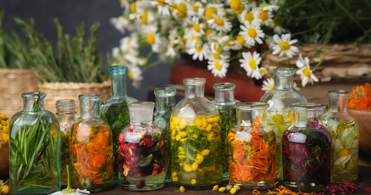 How to Use Herbs Properly: Fresh vs. Dried, Teas, Tinctures & More