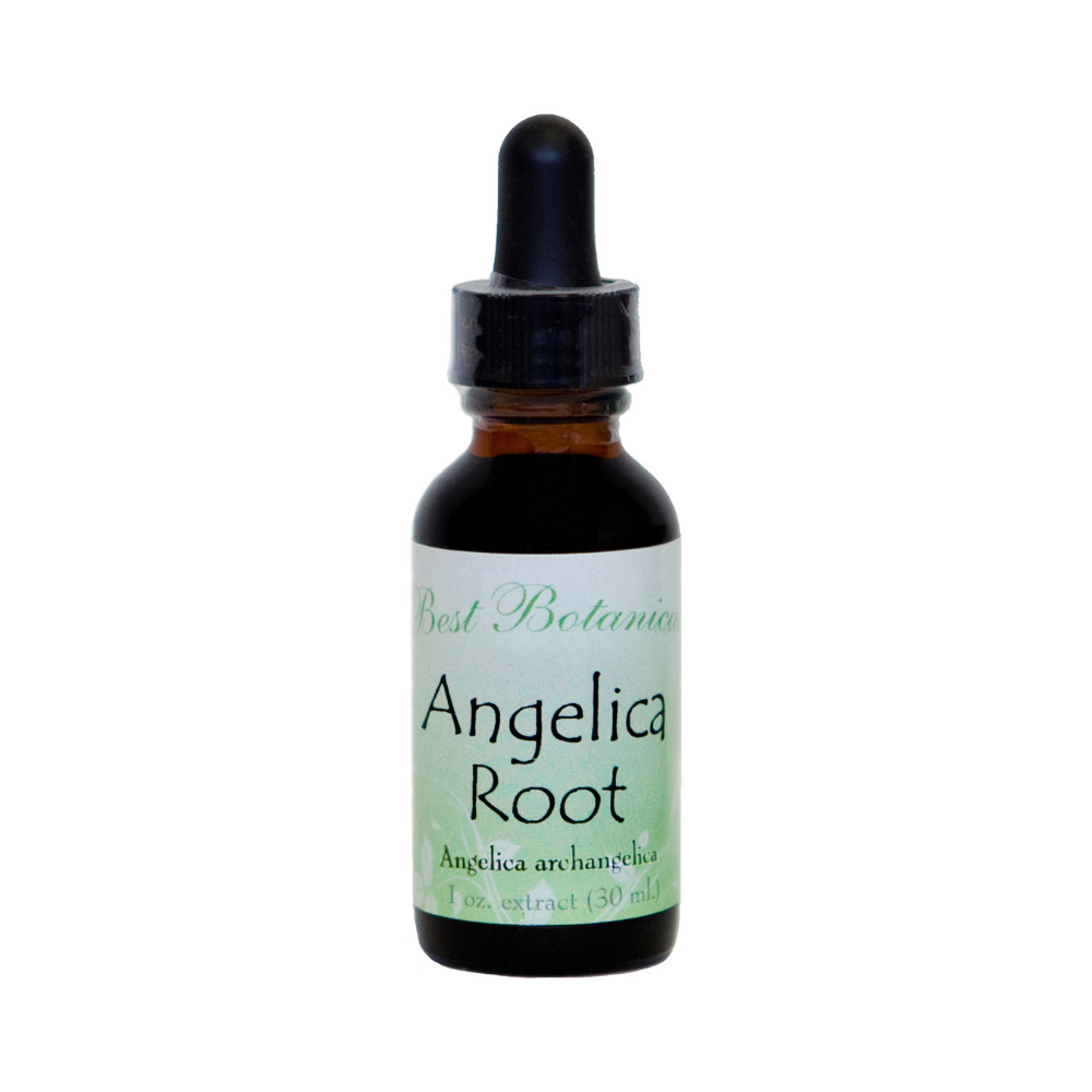 Angelica Root Extract