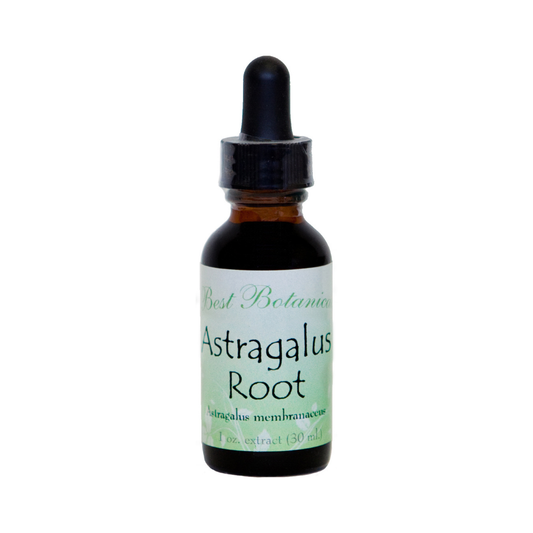 Astragalus Root Extract