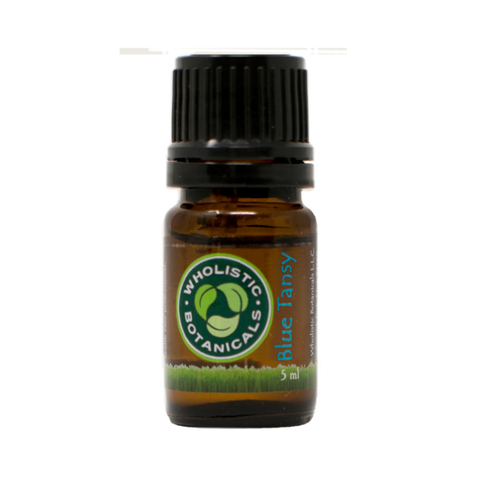 Blue Tansy Essential Oil