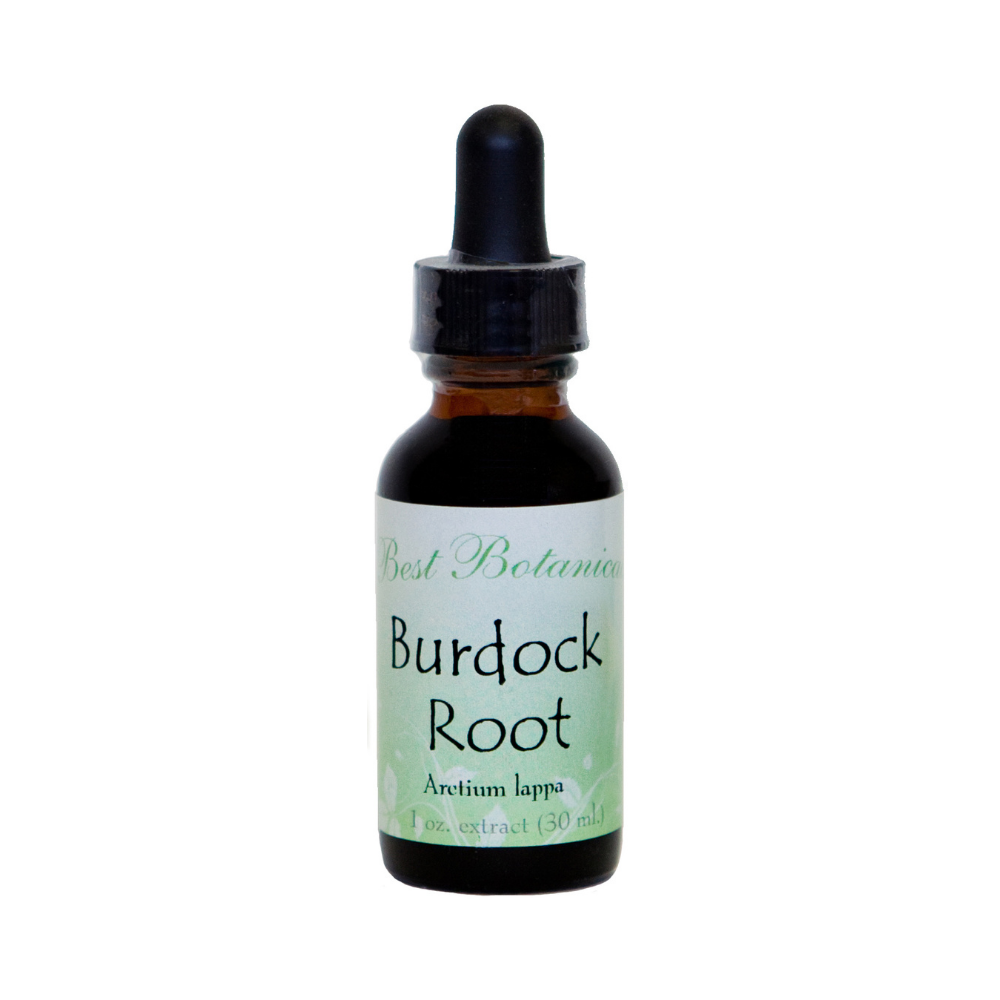 Burdock Root Extract