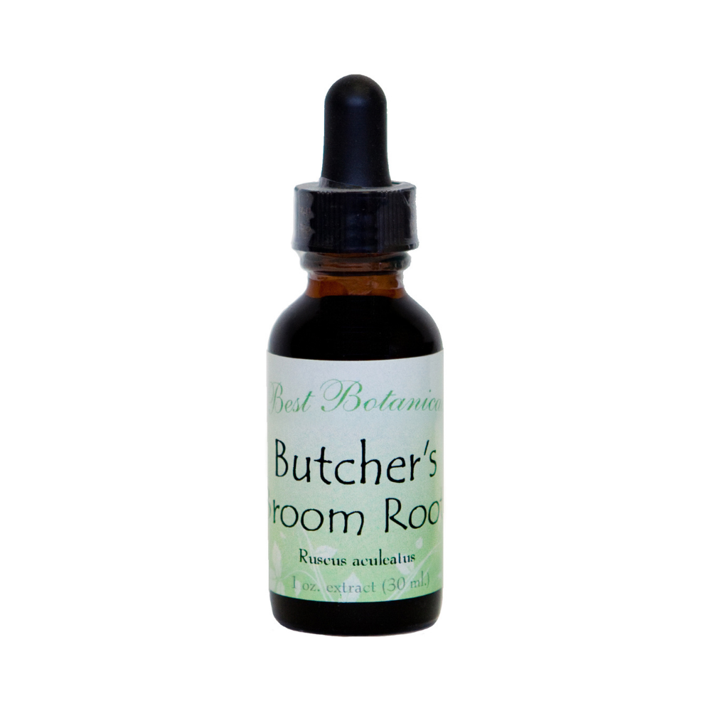Butcher's Broom Root Extract