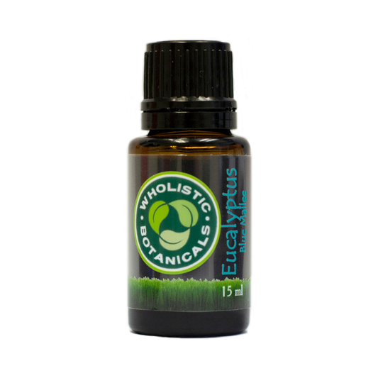 Eucalyptus Blue Mallee Essential Oil