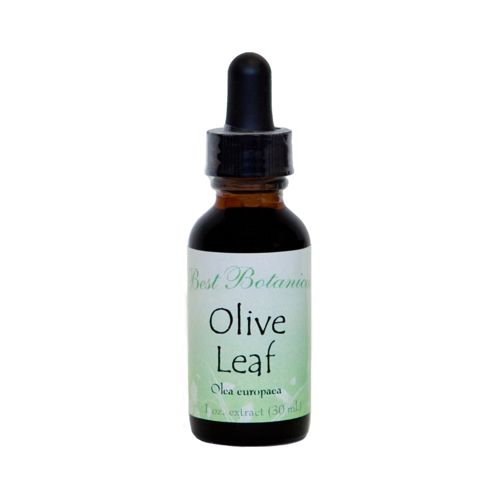 Olive Leaf Extract