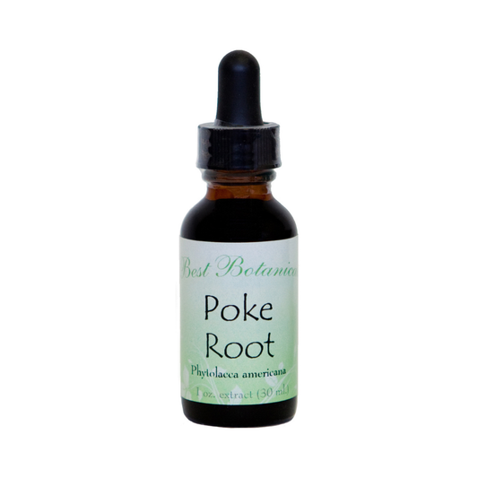 Poke Root Extract