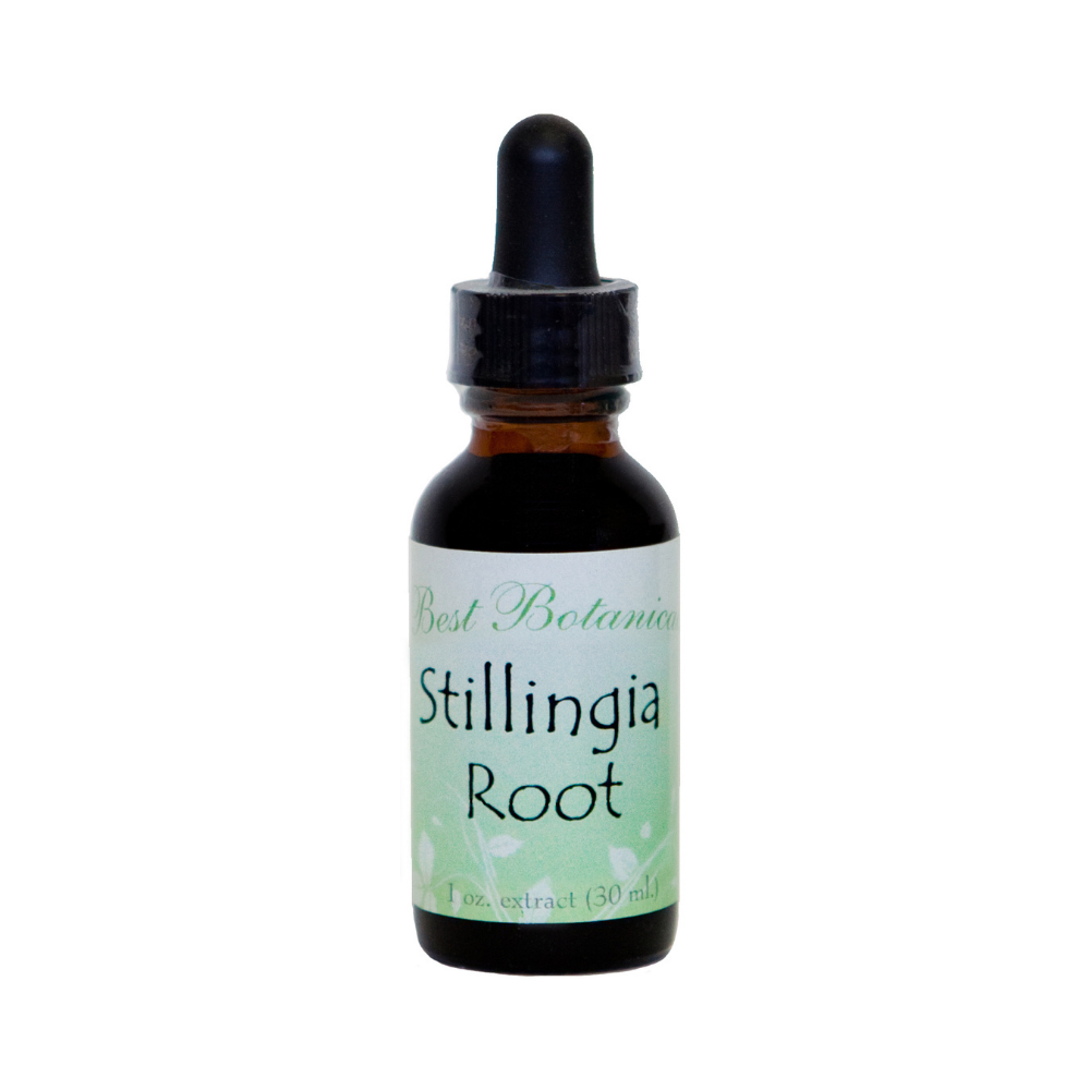 Stillingia Root Extract
