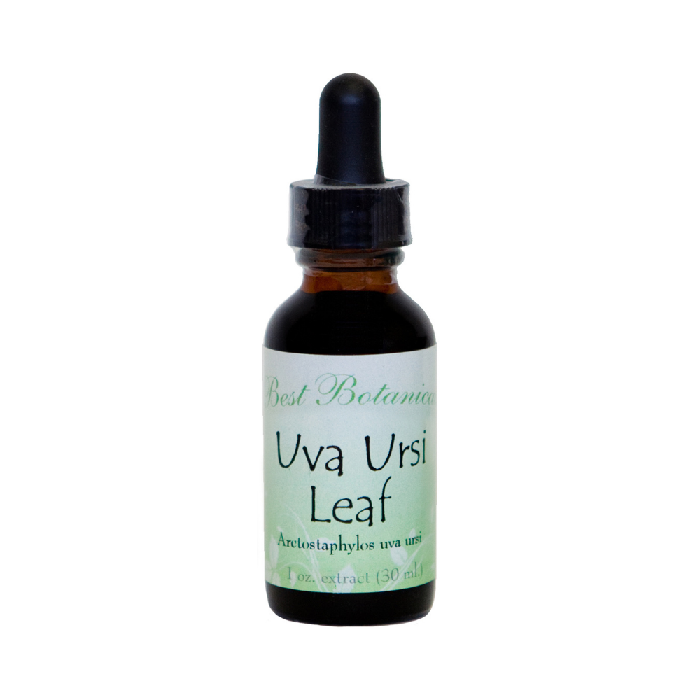 Uva Ursi Leaf Extract