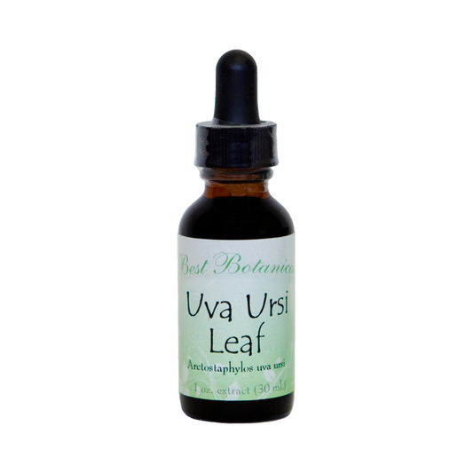 Uva Ursi Leaf Extract