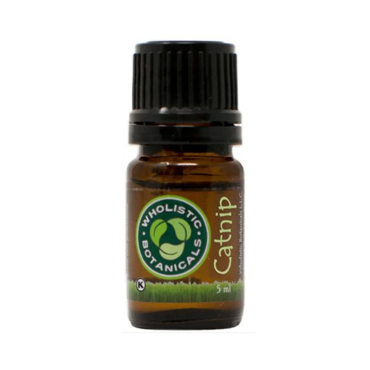 Catnip Essential Oil